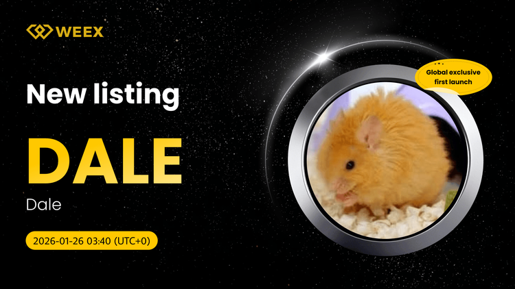 DALE USDT Exclusive: Dale (DALE) Coin Listed on WEEX