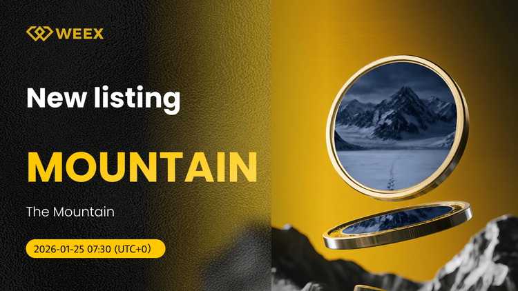 The Mountain Coin Gets Listed on WEEX with MOUNTAIN USDT Spot Pair