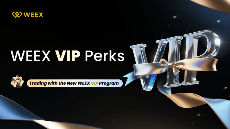 WEEX VIP权益