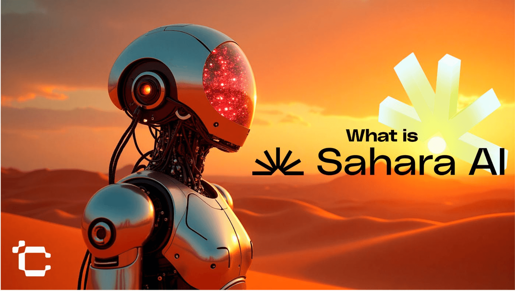 什么是 Sahara AI?2026 年 SAHARA 代币完全指南
